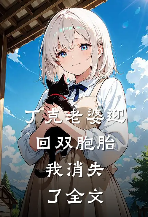 丁克老婆迎回双胞胎，我消失了全文
