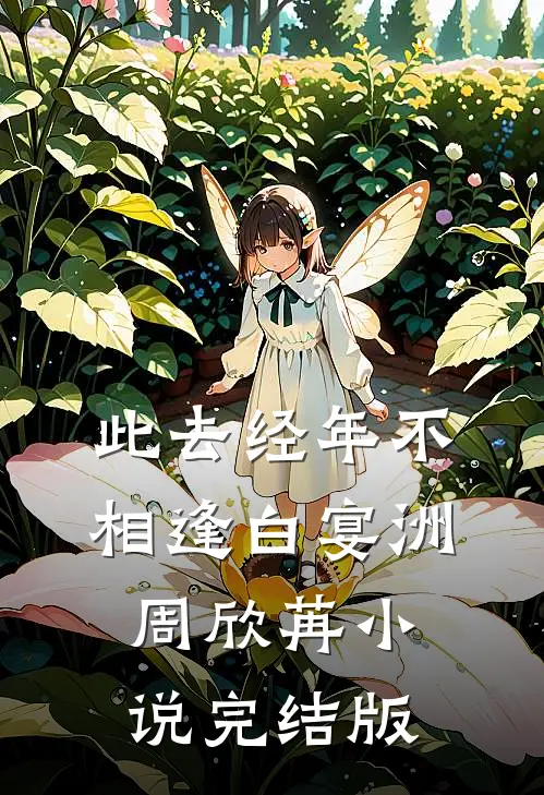 此去经年不相逢白宴洲周欣苒小说完结版