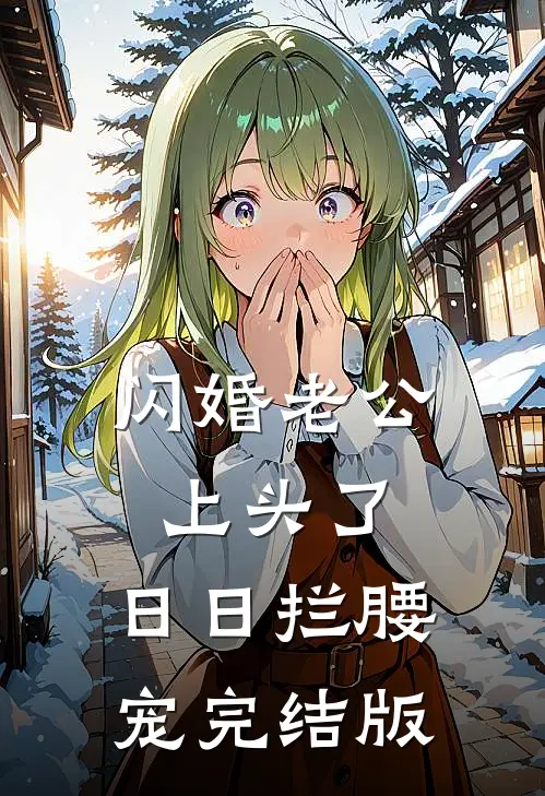 闪婚老公上头了，日日拦腰宠完结版