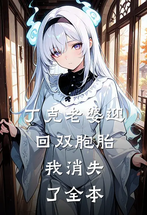 丁克老婆迎回双胞胎，我消失了全本