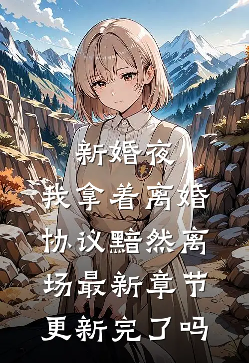 新婚夜，我拿着离婚协议黯然离场最新章节更新完了吗