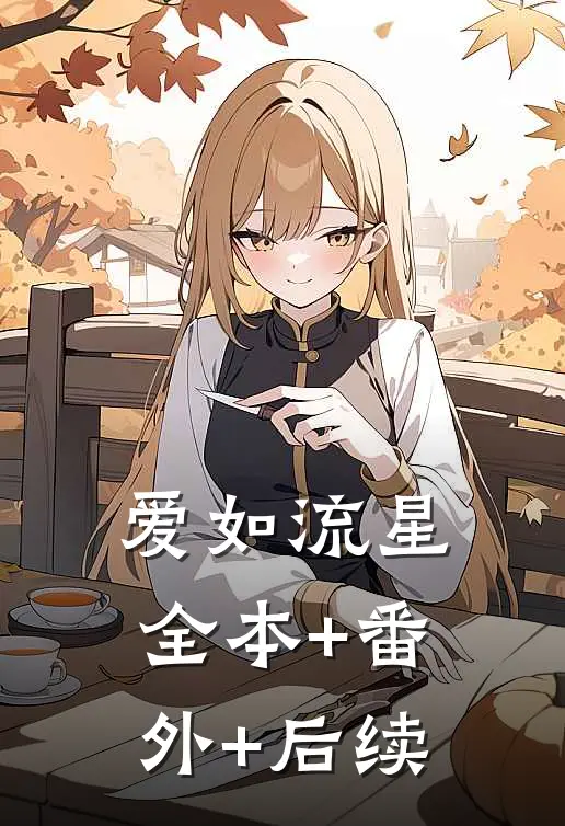 爱如流星全本+番外+后续