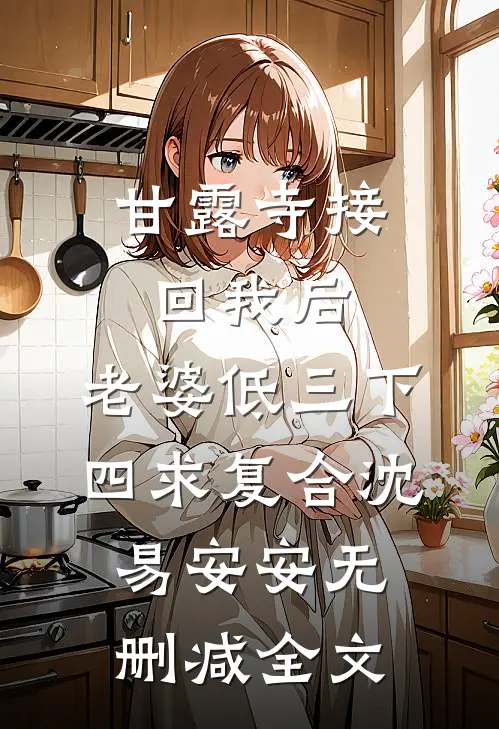 甘露寺接回我后，老婆低三下四求复合沈易安安无删减全文