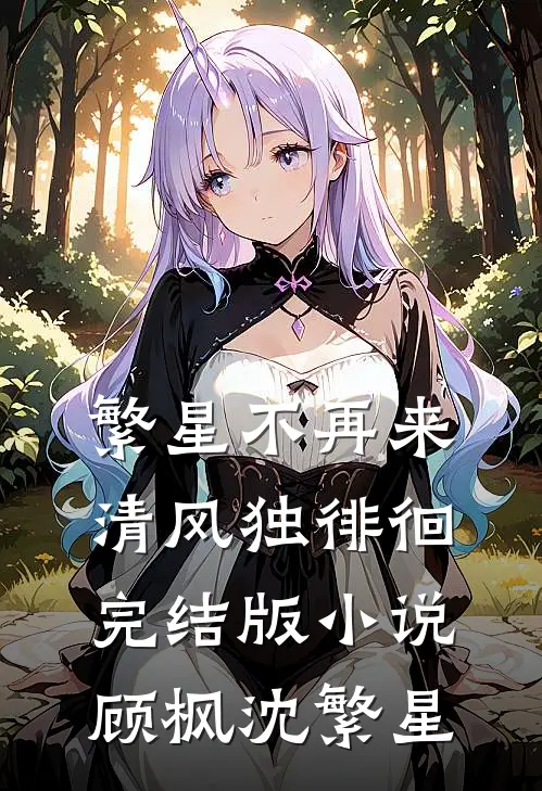 繁星不再来，清风独徘徊完结版小说顾枫沈繁星