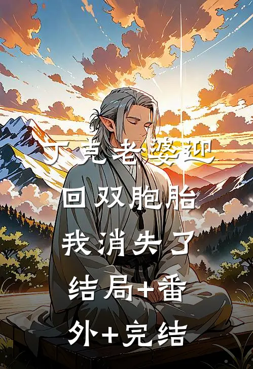 丁克老婆迎回双胞胎，我消失了结局+番外+完结