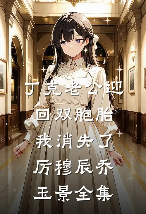 丁克老公迎回双胞胎，我消失了厉穆辰乔玉景全集