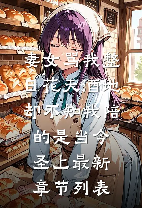 妻女骂我整日花天酒地，却不知我陪的是当今圣上最新章节列表