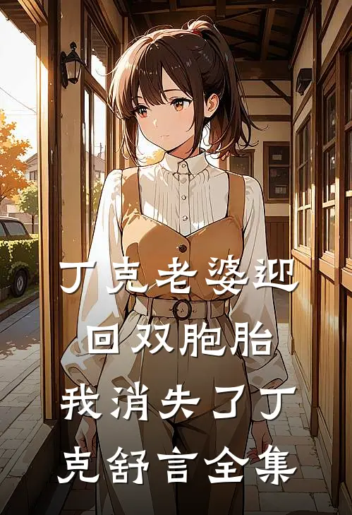丁克老婆迎回双胞胎，我消失了丁克舒言全集