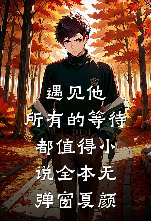 遇见他，所有的等待都值得小说全本无弹窗夏颜