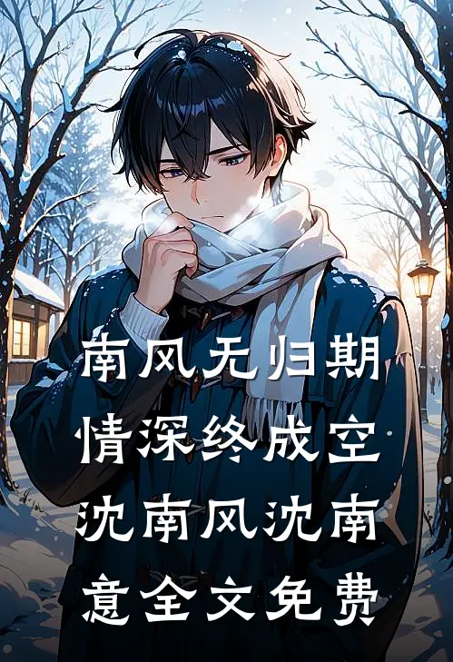 南风无归期，情深终成空沈南风沈南意全文免费