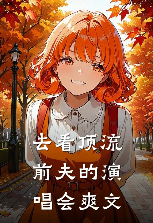去看顶流前夫的演唱会爽文