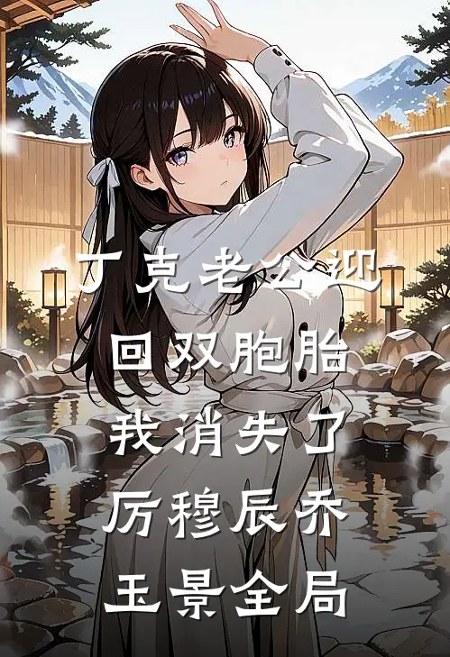 丁克老公迎回双胞胎，我消失了厉穆辰乔玉景全局