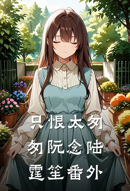 只恨太匆匆阮念陆霆笙番外