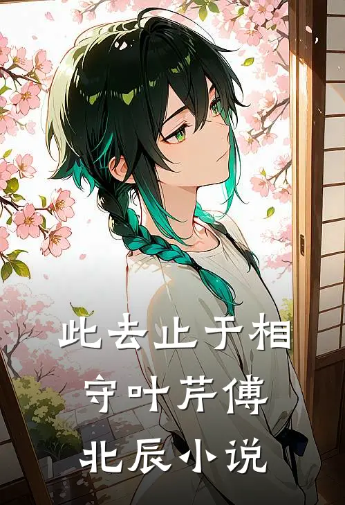 此去止于相守叶芹傅北辰小说