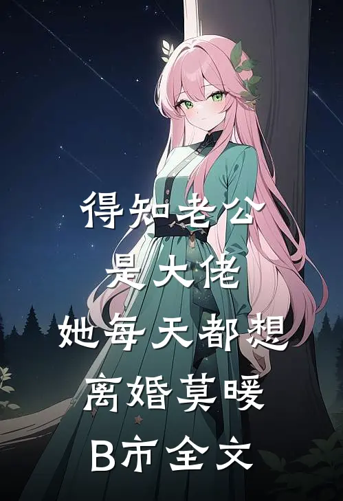得知老公是大佬：她每天都想离婚莫暖B市全文