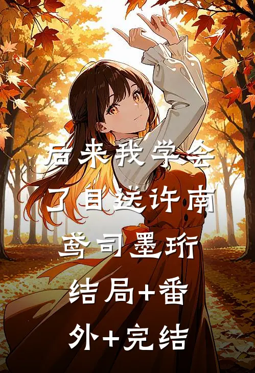 后来我学会了目送许南鸢司墨珩:结局+番外+完结