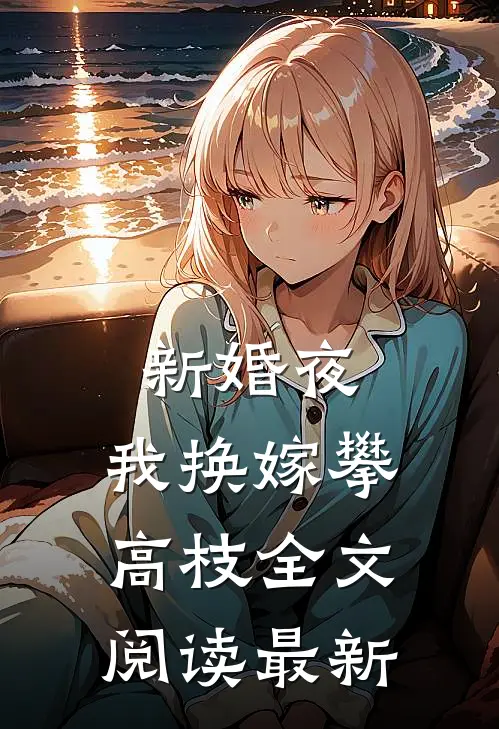 新婚夜，我换嫁攀高枝全文阅读最新