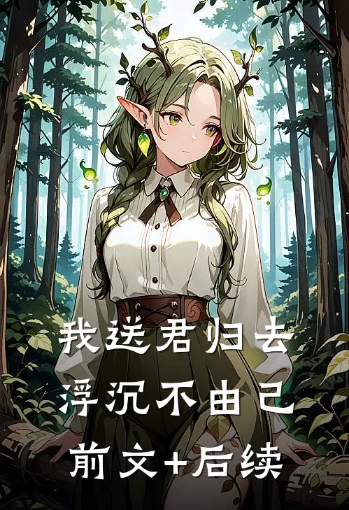 我送君归去，浮沉不由己:前文+后续