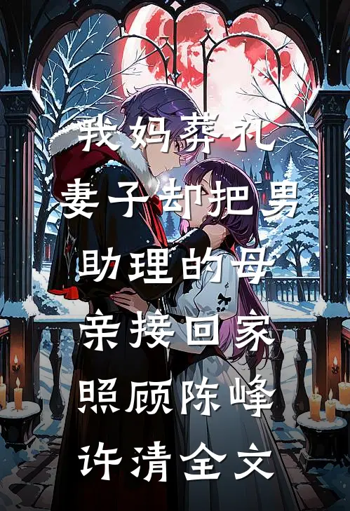 我妈葬礼，妻子却把男助理的母亲接回家照顾陈峰许清全文