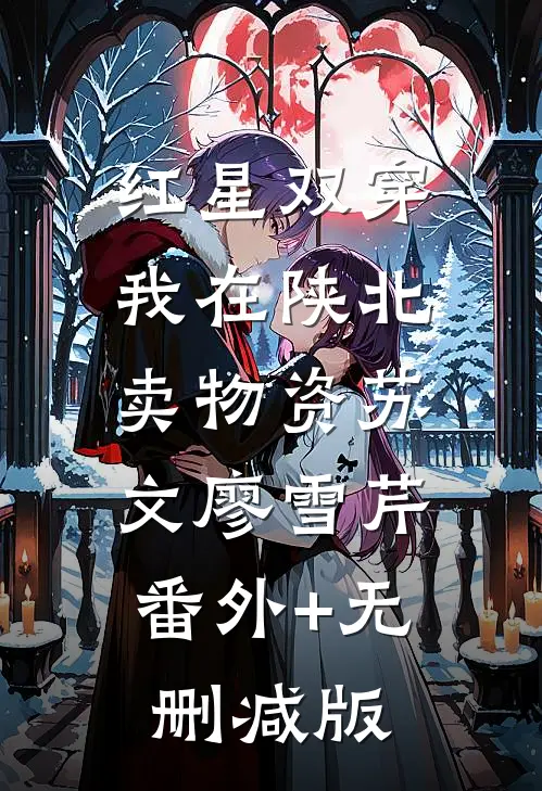 红星双穿：我在陕北卖物资苏文廖雪芹:番外+无删减版