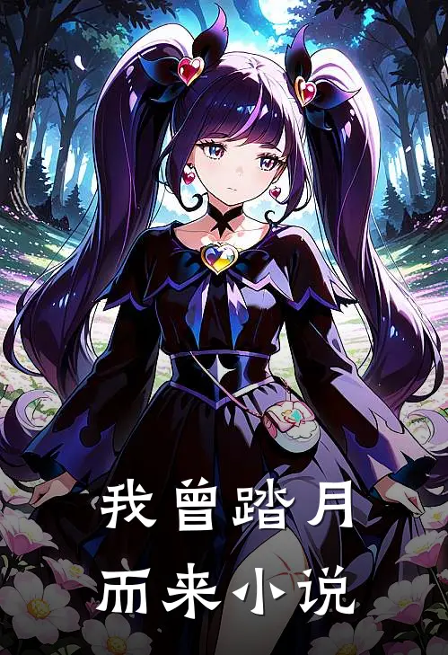我曾踏月而来小说