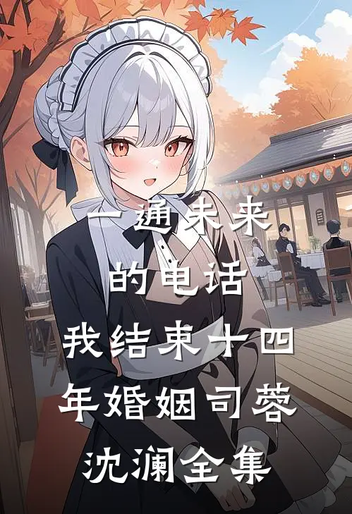 一通未来的电话，我结束十四年婚姻司蓉沈澜全集