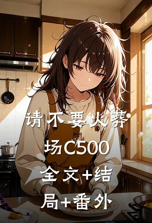 请不要火葬场C500全文+结局+番外