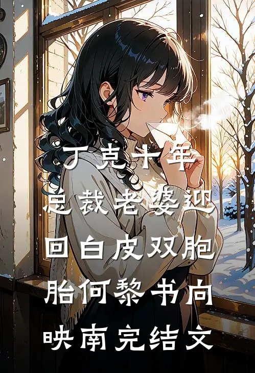 丁克十年，总裁老婆迎回白皮双胞胎何黎书向映南完结文
