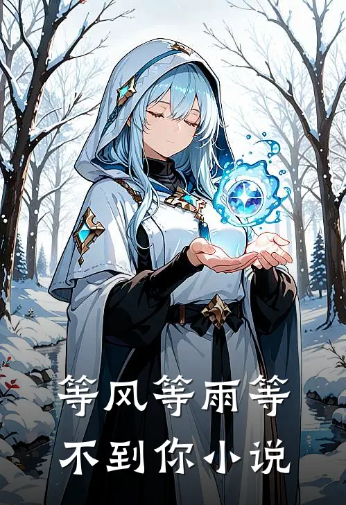 等风等雨等不到你小说