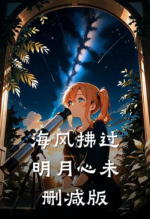 海风拂过明月心未删减版