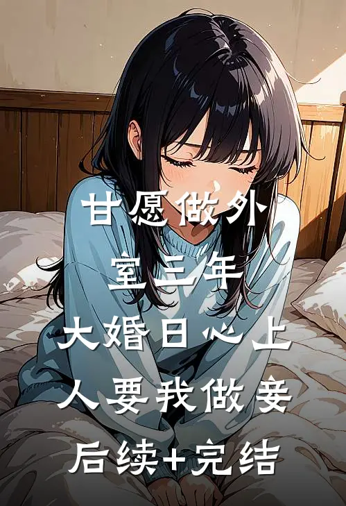 甘愿做外室三年，大婚日心上人要我做妾后续+完结