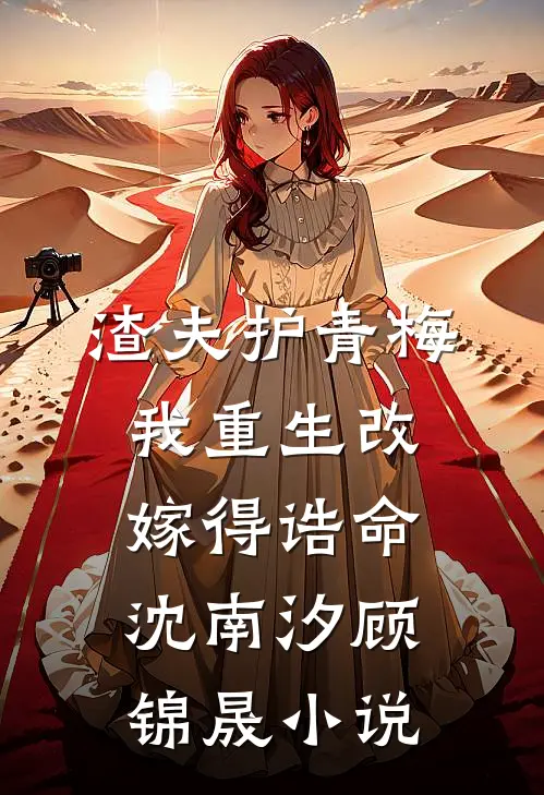 渣夫护青梅，我重生改嫁得诰命沈南汐顾锦晟小说