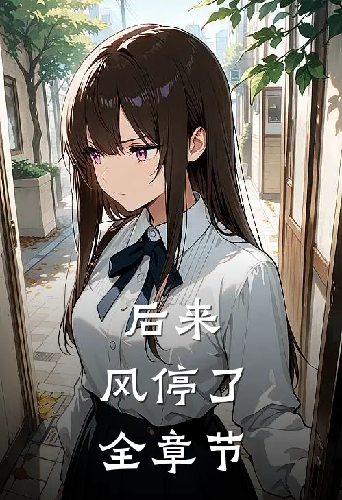 后来，风停了全章节