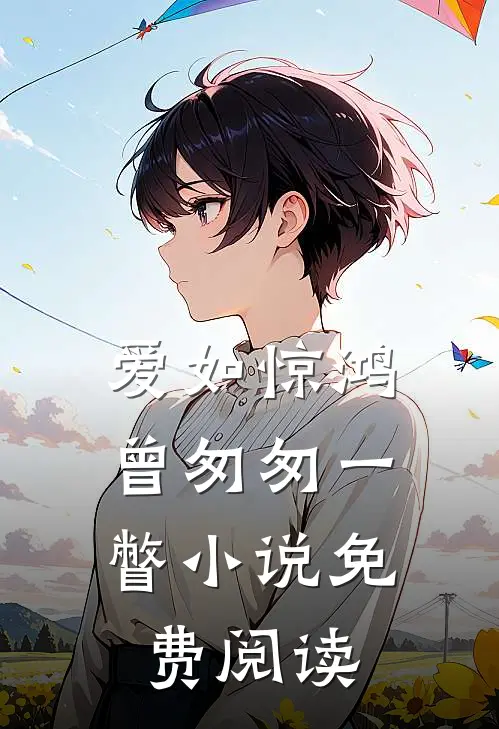 爱如惊鸿，曾匆匆一瞥小说免费阅读