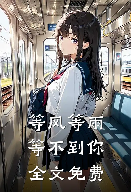 等风等雨等不到你全文免费