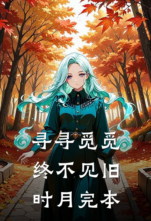 寻寻觅觅，终不见旧时月完本
