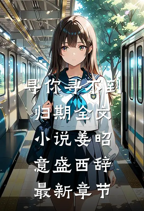 寻你寻不到归期全文小说姜昭意盛西辞最新章节