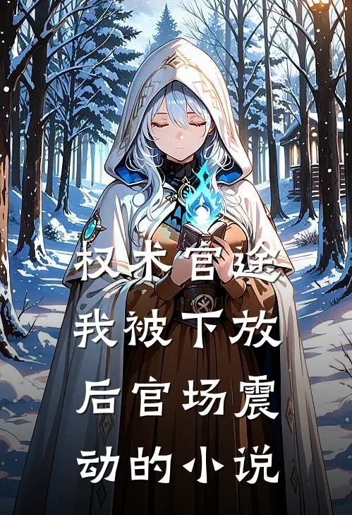 权术官途：我被下放后官场震动的小说