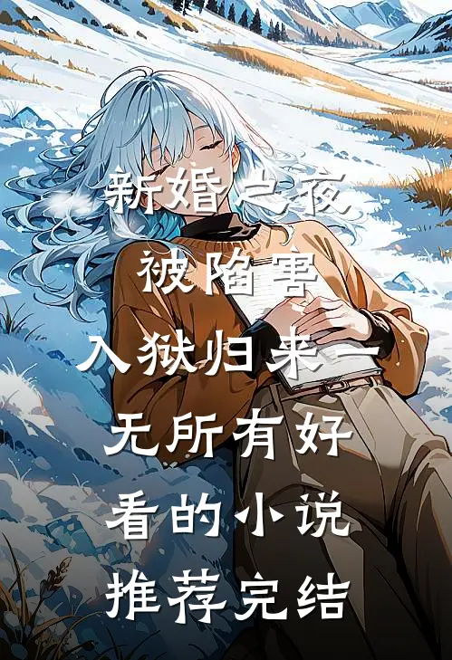 新婚之夜被陷害，入狱归来一无所有好看的小说推荐完结