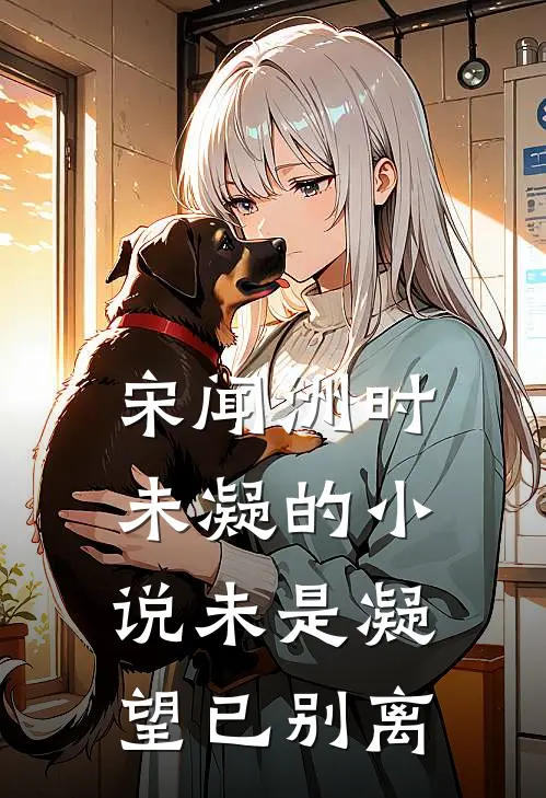宋闻洲时未凝的小说未是凝望已别离