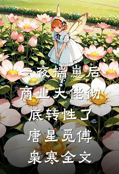 一夜揣崽后，商业大佬彻底转性了唐星觅傅枭寒全文