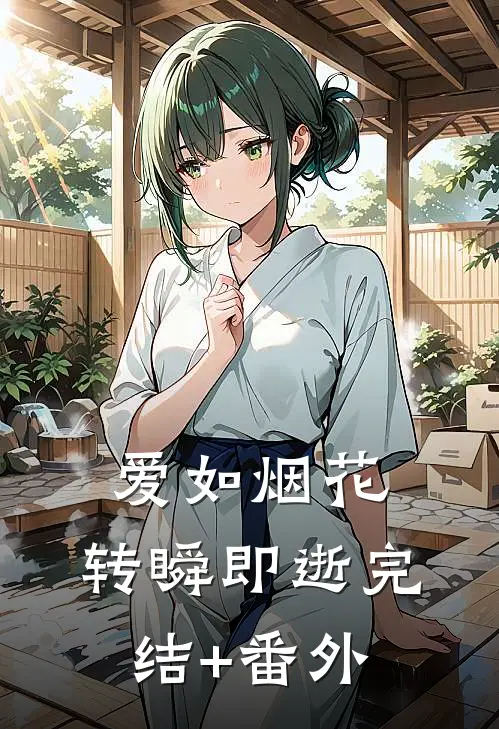 爱如烟花，转瞬即逝完结+番外