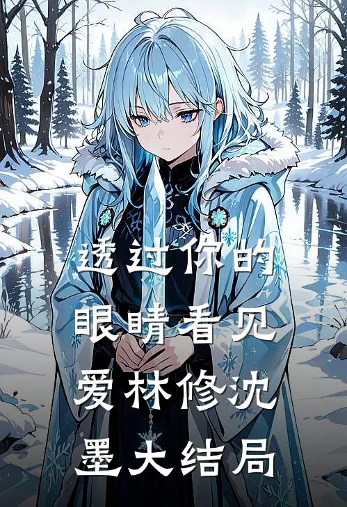 透过你的眼睛看见爱林修沈墨大结局