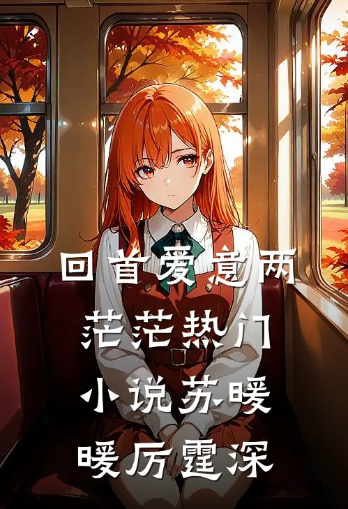 回首爱意两茫茫热门小说苏暖暖厉霆深
