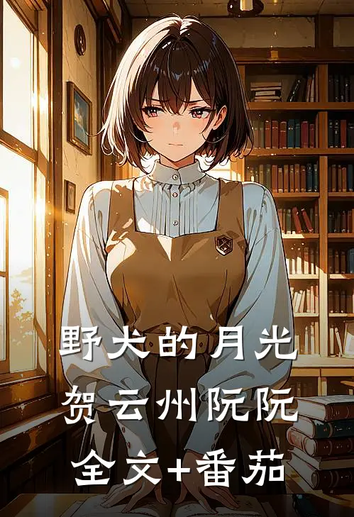 野犬的月光贺云州阮阮全文+番茄