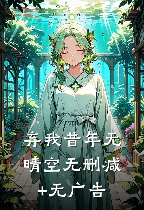 弃我昔年无晴空无删减+无广告