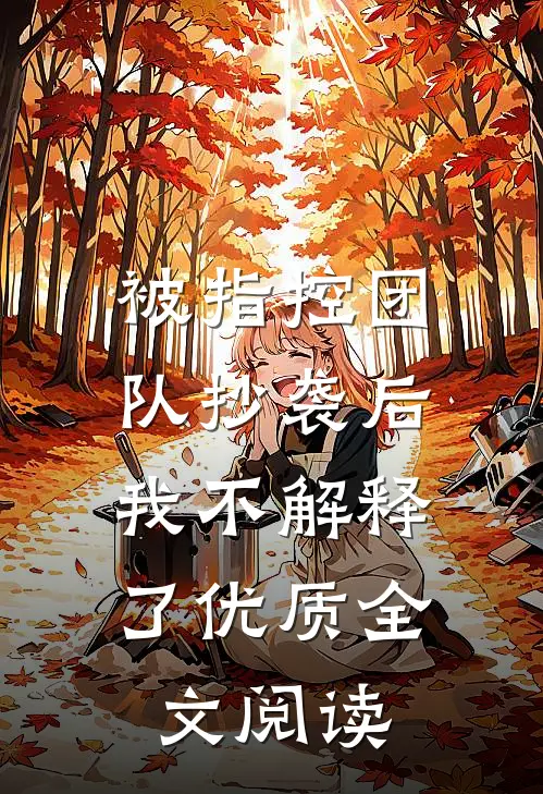被指控团队抄袭后，我不解释了优质全文阅读