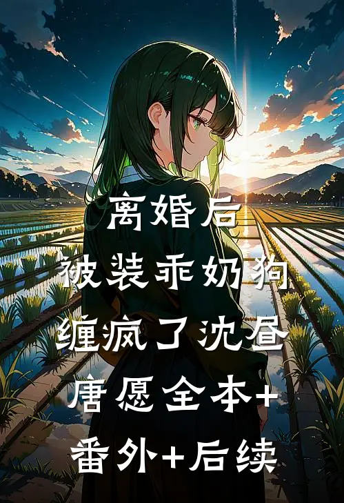 离婚后，被装乖奶狗缠疯了沈昼唐愿全本+番外+后续