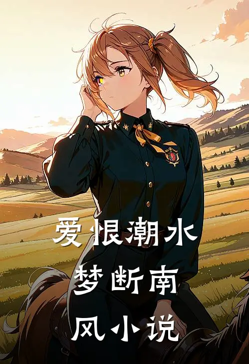 爱恨潮水，梦断南风小说