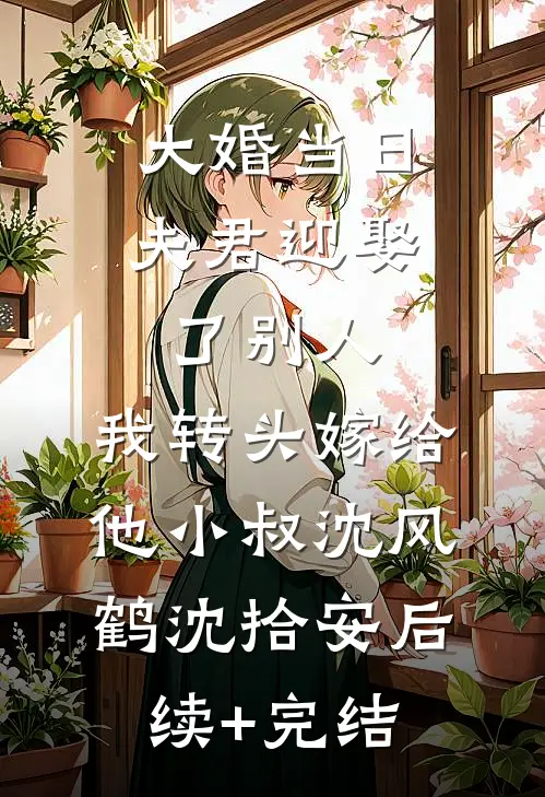 大婚当日夫君迎娶了别人，我转头嫁给他小叔沈风鹤沈拾安后续+完结